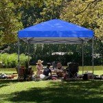 ABCCANOPY 10x10 Heavy Duty Pop Up Canopy
