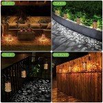 Hanging Solar Lanterns - Outdoor Waterproof Lights (2 Pack)