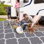 Reversible Outdoor Plastic Straw Camping Mat 5’ × 8’