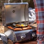 Portable Propane Tabletop Grill with Lock and Thermometer