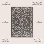 Charleston Vintage Filigree Indoor Outdoor Rug 3x5