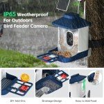 Smart Bird Feeder with Camera and Alerts