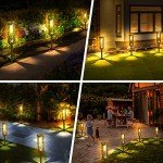Coxseni Solar Pathway Lights - 6 Pack Outdoor