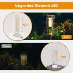 Coxseni Solar Pathway Lights - 6 Pack Outdoor