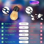 49FT RGB Waterproof Outdoor String Lights Set