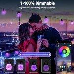 49FT RGB Waterproof Outdoor String Lights Set