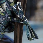 Sapphire Blue Outdoor Dining Chair Cushion 20”