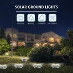 12 Pack Waterproof Outdoor Solar Pathway Lights