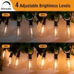 100FT Waterproof LED Outdoor String Lights with Remote