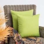 Waterproof Outdoor Throw Pillows - Set of 2