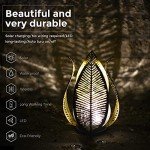 Solar Garden Lights with Crackle Globe Design