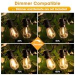 50FT LED Outdoor String Lights with Vintage Bulbs