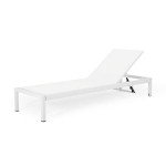 Cynthia Outdoor Chaise Lounge Chairs - Set of 2