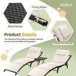 Modern Adjustable Patio Chaise Lounge Set (Beige)