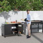 Outdoor Grill Table with Sink and Cart