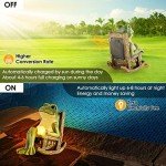 Solar Miniature Frog Garden Statue Decoration