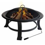30" Black Outdoor Fire Pit with Screen & Cover