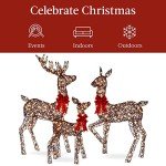 3-Piece Outdoor Lighted Christmas Deer Family Set