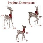 3-Piece Outdoor Lighted Christmas Deer Family Set