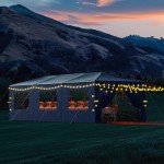 10x30FT Heavy Duty Black Outdoor Party Tent