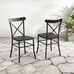 Crosley Astrid 2-Piece Indoor/Outdoor Chair Set