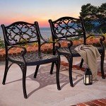 Set of 2 All-Weather Cast Aluminum Patio Chairs