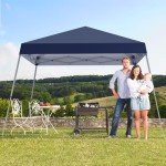 Dark Blue 10x10 FT Pop Up Canopy Tent