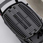 Weber Q1000 Titanium Liquid Propane Grill