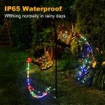 Solar Watering Can Lights - 8 Color Modes