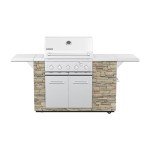 Spire 5-Burner Propane Gas Stone Island Grill