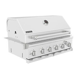 6-Burner Built-In Propane Gas Grill Head