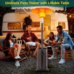 Klysiora 48,000 BTU Portable Patio Heater with Cover