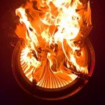 19" Smokeless Fire Pit with Stand and Carry Bag