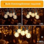 Brighten Your Patio with 55FT Outdoor String Lights