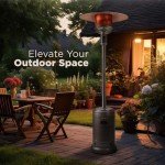 Outdoor Propane Patio Heater with Wheels, 46,000 BTU