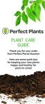 Frostproof Gardenia Live Plant in 1 Gallon Pot