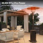 EAST OAK 48,000 BTU Outdoor Patio Heater