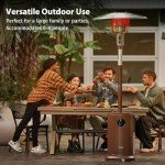 EAST OAK 48,000 BTU Outdoor Patio Heater