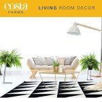 Live Boston Ferns in Hanging Baskets - 2 Pack
