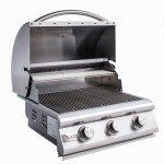 Blaze 25-Inch Built-In Propane Grill - 3 Burners