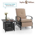 Adjustable Outdoor Recliner Chairs Set of 2