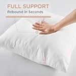 Codi 12x20 Outdoor Lumbar Pillow Inserts - Set of 2