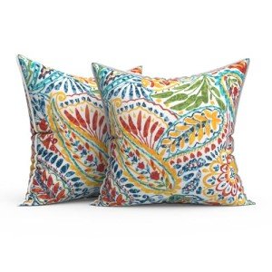 Paisley Multi Outdoor Throw Pillow Set of 2