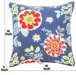 Waterproof 18x18 Outdoor Throw Pillow Set of 2