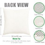 Stylish Waterproof Outdoor Pillow Set of 4