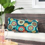 Waterproof Lumbar Throw Pillows - Set of 2