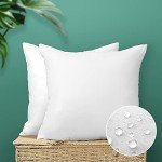 Outdoor Water Resistant Throw Pillow Inserts - 18x18