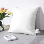Outdoor Water Resistant Throw Pillow Inserts - 18x18