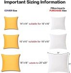 Outdoor Water Resistant Throw Pillow Inserts - 18x18