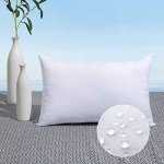 MIULEE 12x20 Outdoor Water-Resistant Pillow Insert